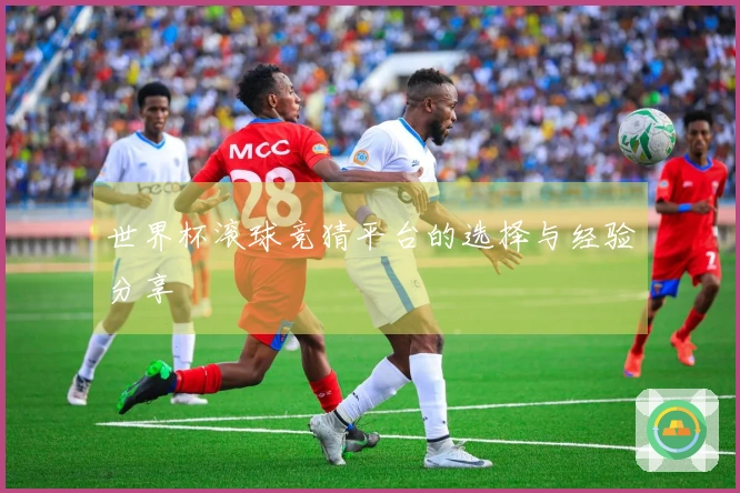 世界杯滚球竞猜平台的选择与经验分享
