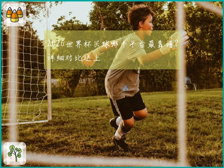 2026世界杯买球哪个平台最靠谱？详细对比送上