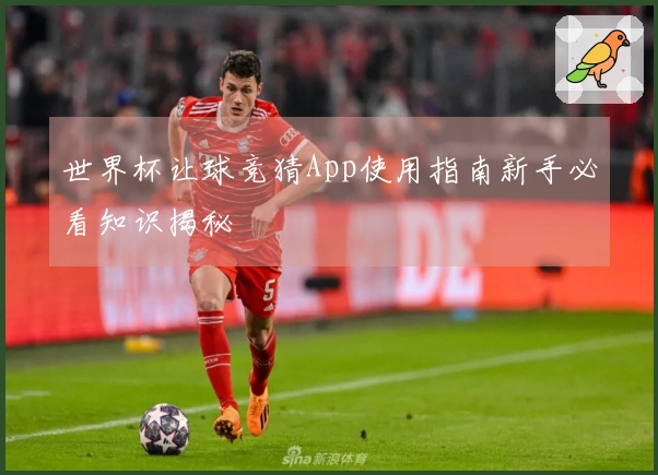 世界杯让球竞猜App使用指南新手必看知识揭秘