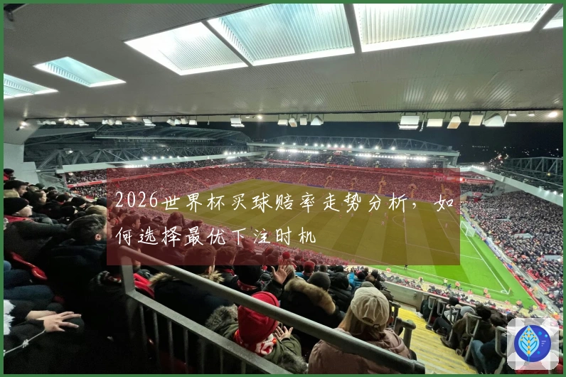 2026世界杯买球赔率走势分析，如何选择最优下注时机