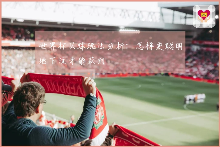 世界杯买球玩法分析：怎样更聪明地下注才能获利