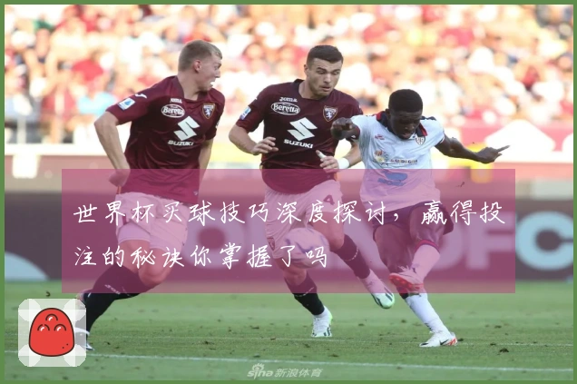 世界杯买球技巧深度探讨，赢得投注的秘诀你掌握了吗