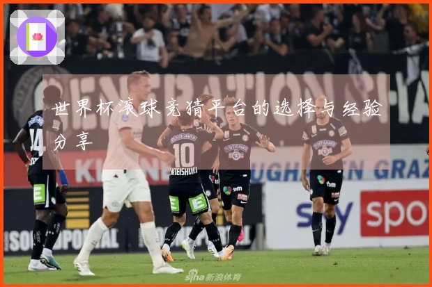 世界杯滚球竞猜平台的选择与经验分享