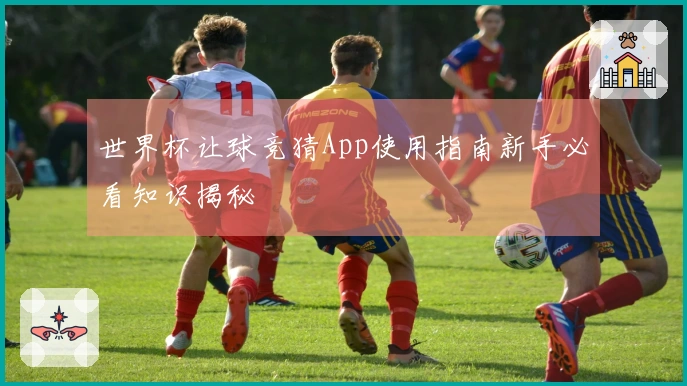 世界杯让球竞猜App使用指南新手必看知识揭秘
