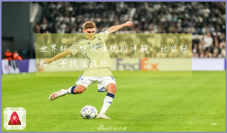 世界杯买球投注规则详解，让你轻松上手投注技巧