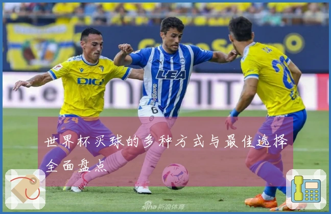 世界杯买球的多种方式与最佳选择全面盘点