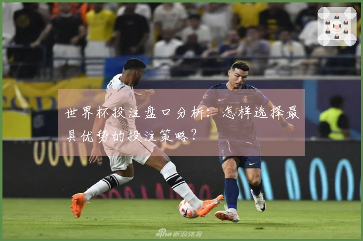 世界杯投注盘口分析：怎样选择最具优势的投注策略？