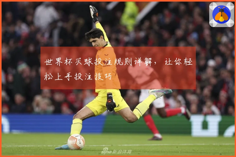 世界杯买球投注规则详解，让你轻松上手投注技巧
